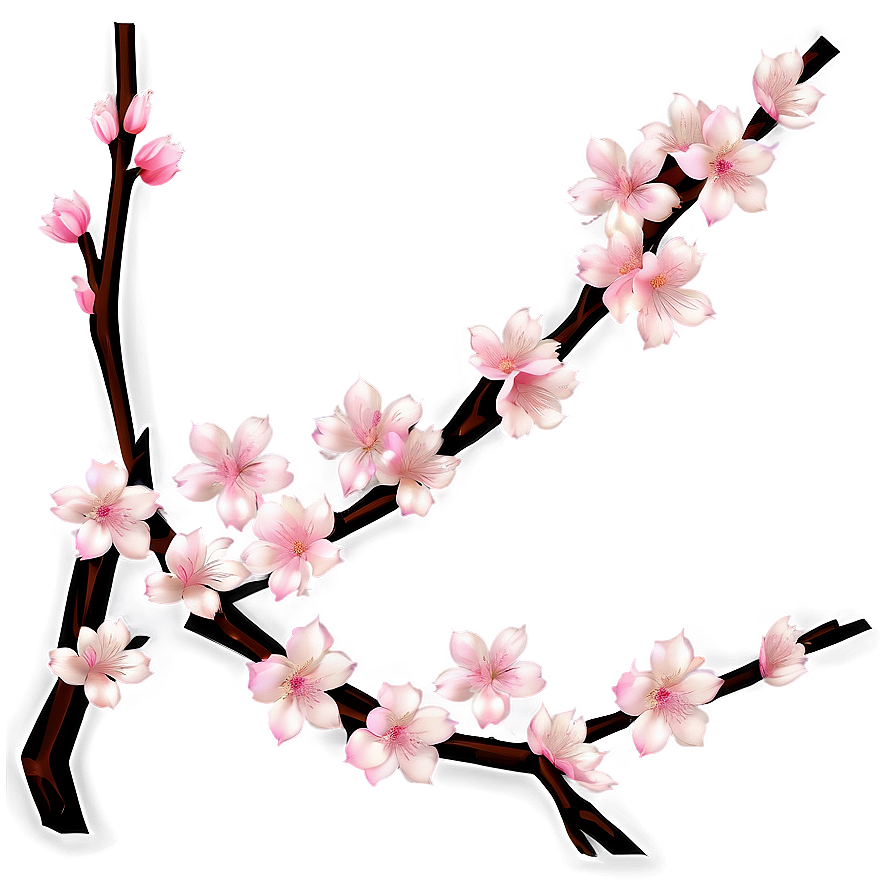 Cherry Blossom Decoration Png Whg16