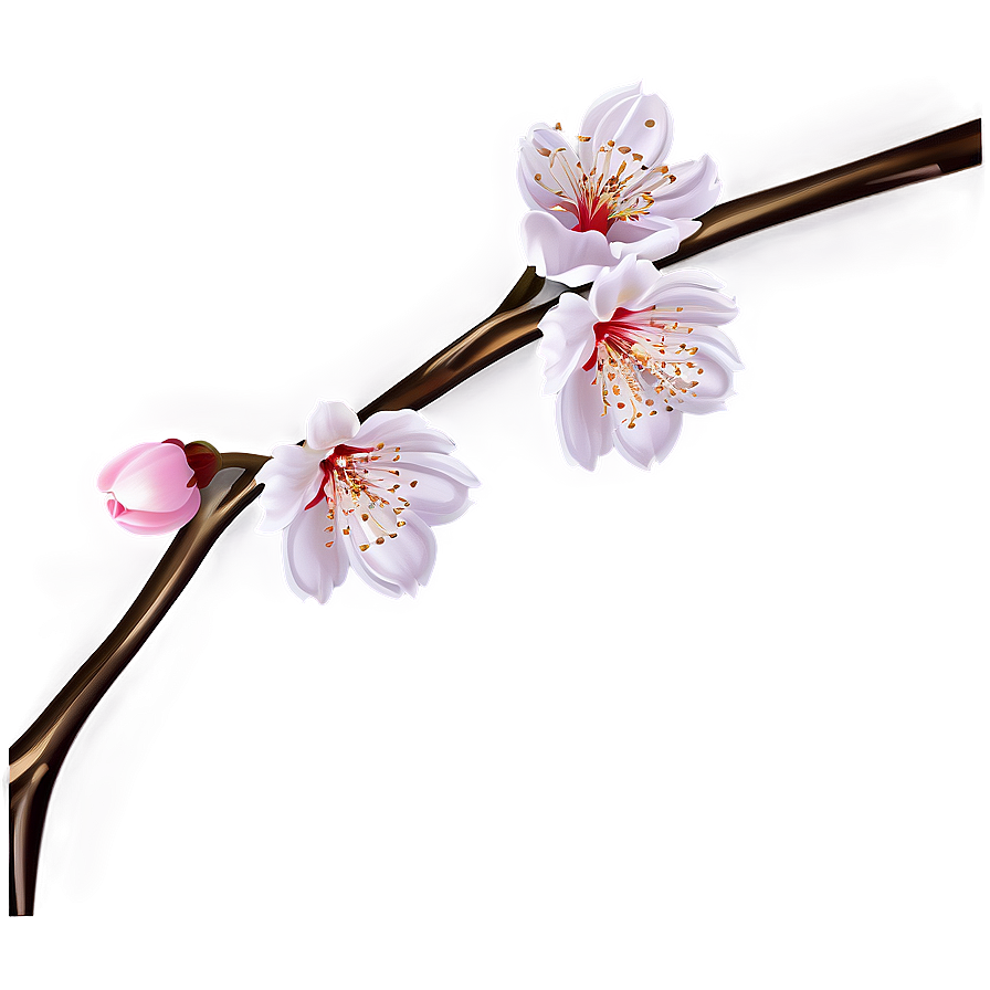 Cherry Blossom Festival Graphics Png 40