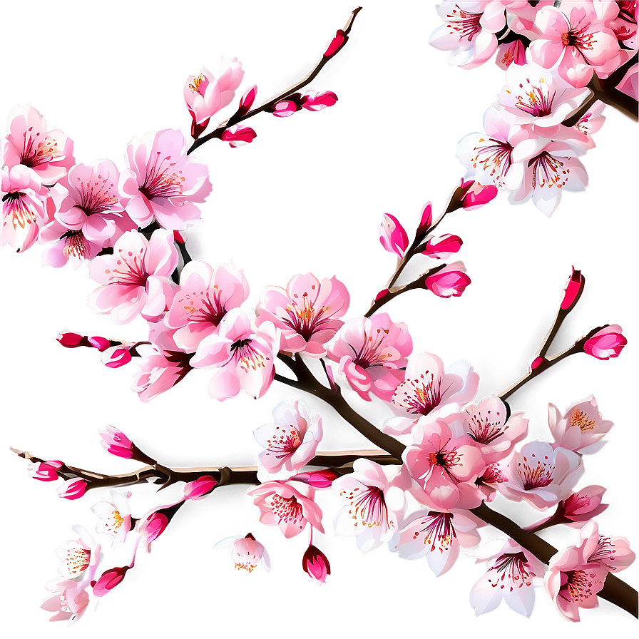 Cherry Blossom Festival Graphics Png Aya73