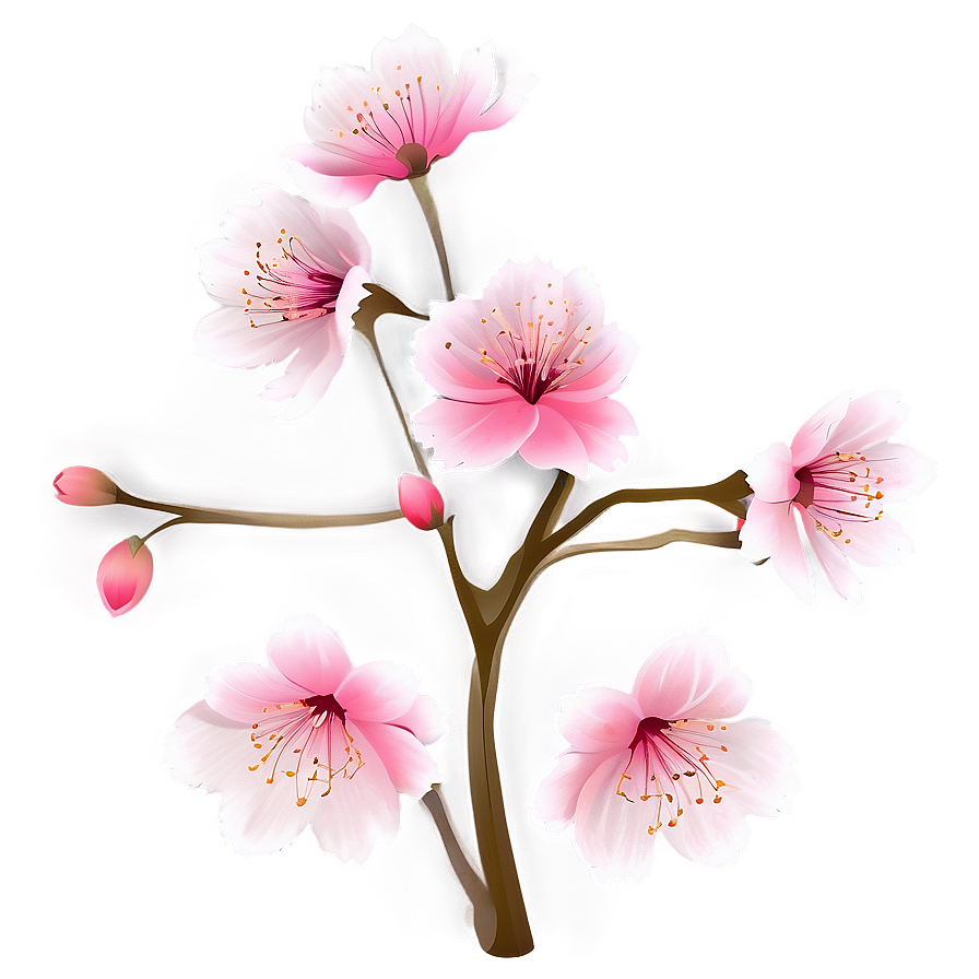 Cherry Blossom Flower Transparent Png Mhm76