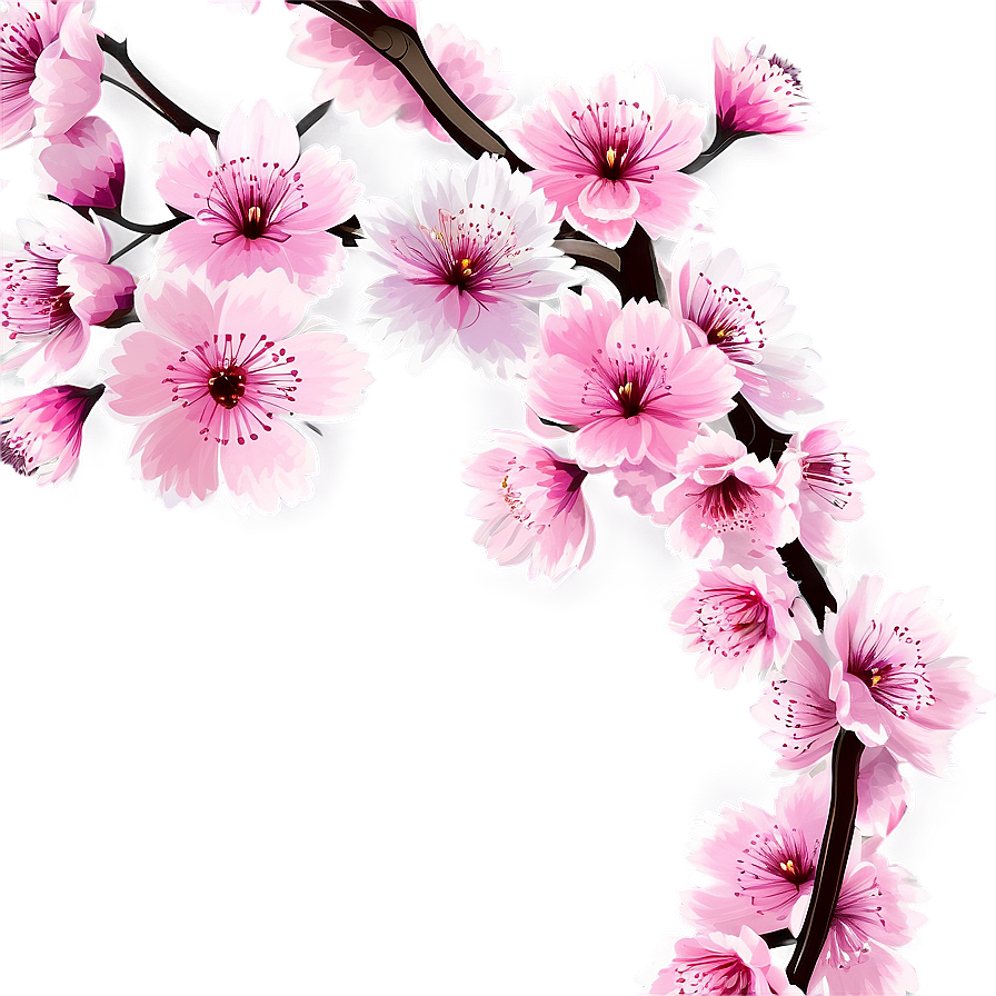 Cherry Blossom Frame Png Ydb