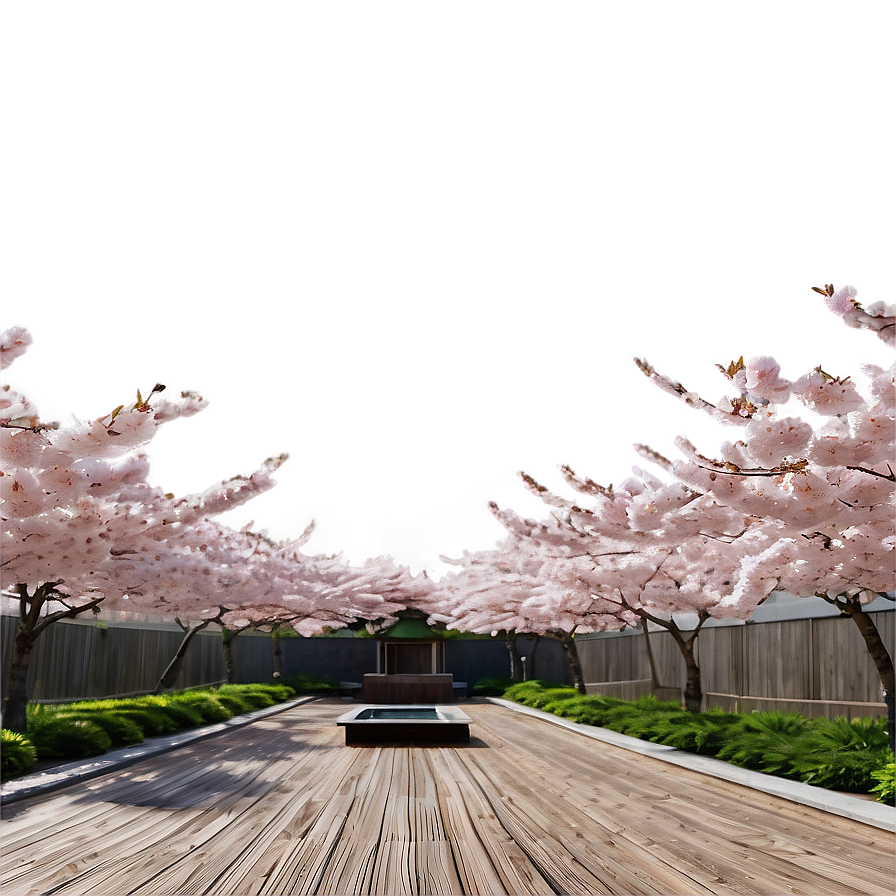 Cherry Blossom Garden Panorama Png Asf91