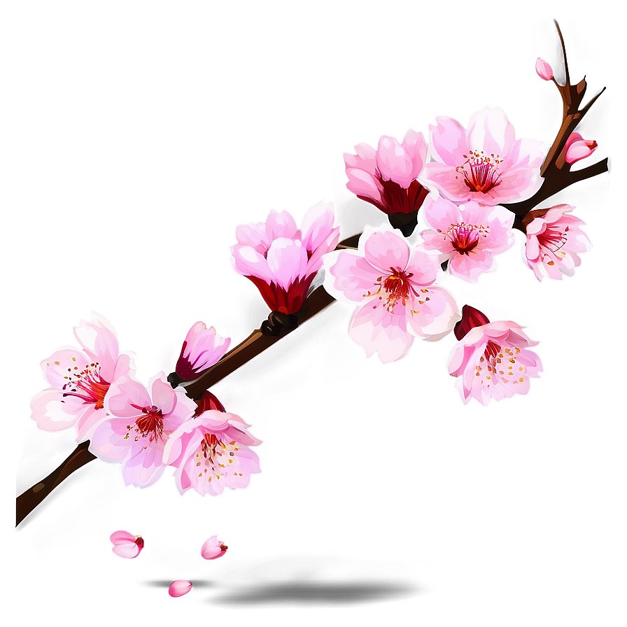 Cherry Blossom Spray Png Olq