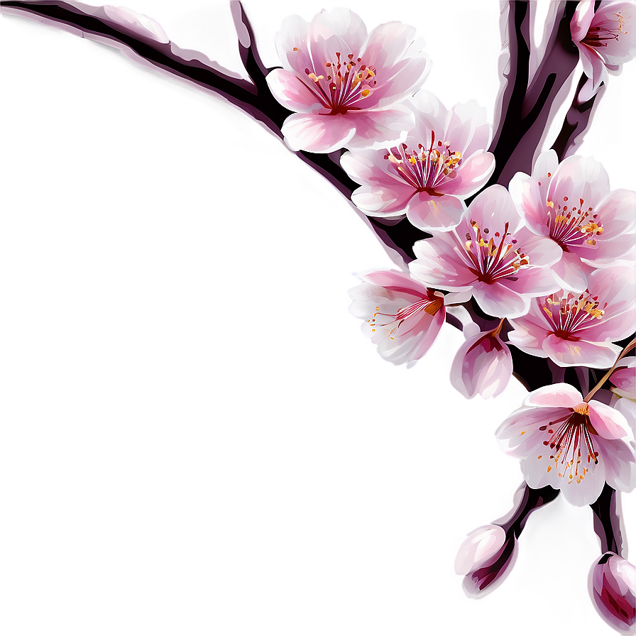 Cherry Blossom Wallpaper Png 06292024