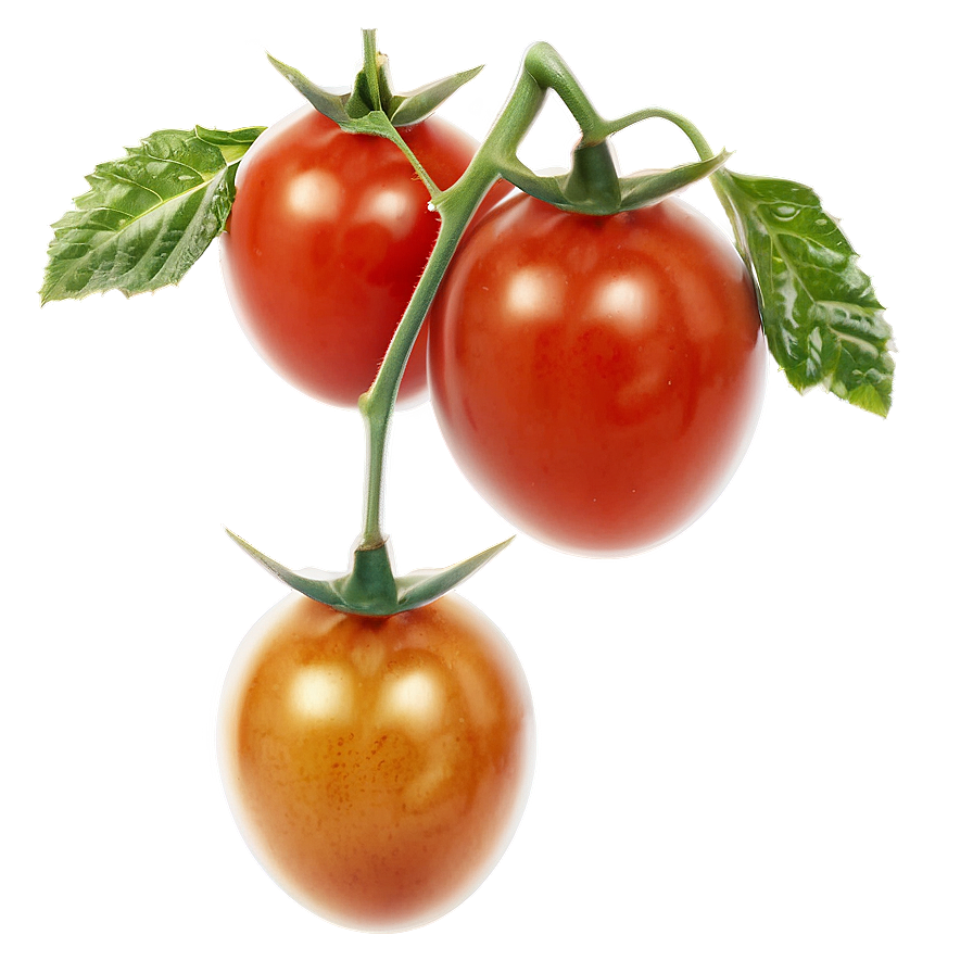 Cherry Tomatoes On Vine Png 76