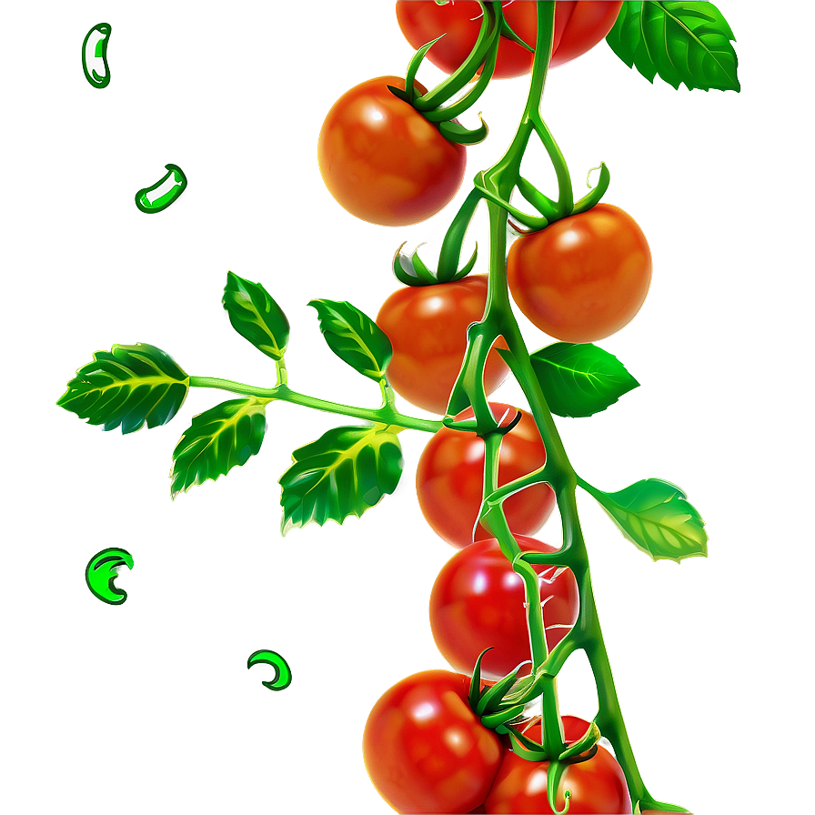 Cherry Tomatoes On Vine Png Paq65