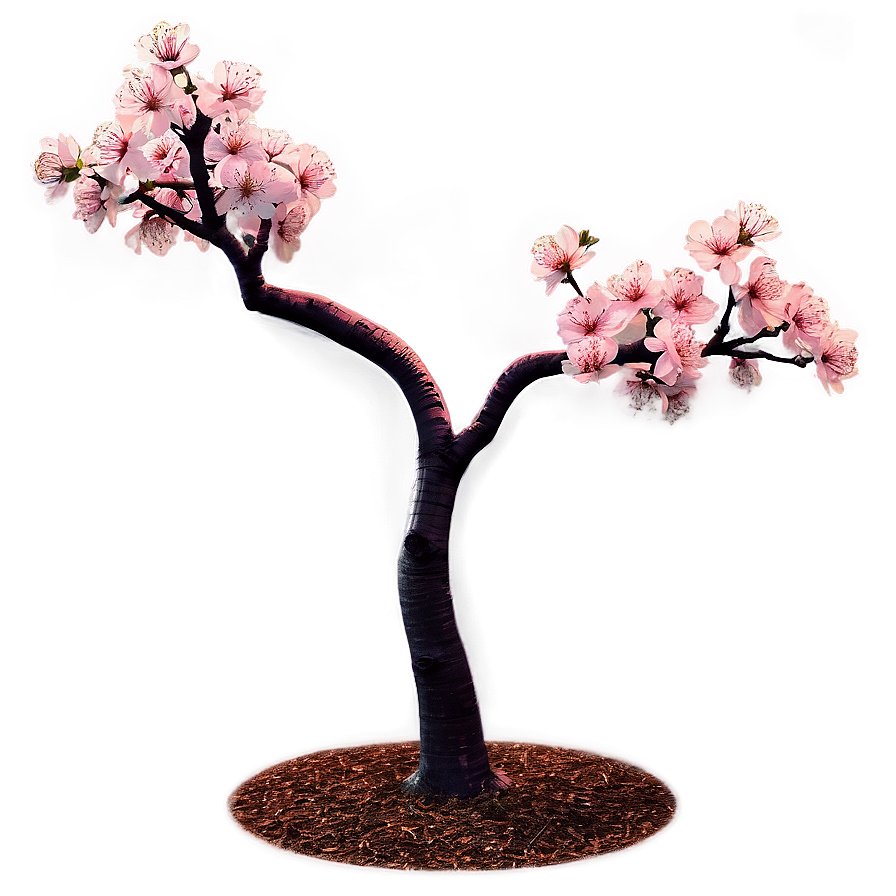 Cherry Tree At Night Png Vyb83