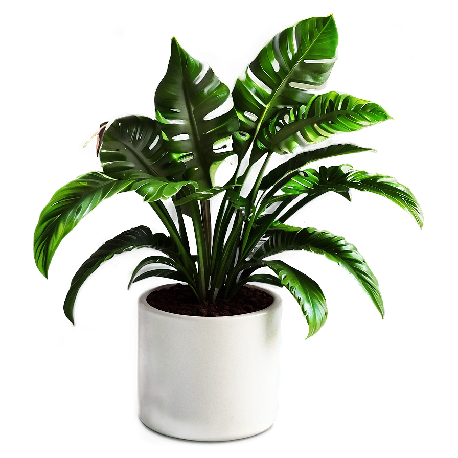 Chic Floor Plant Png Hpf94