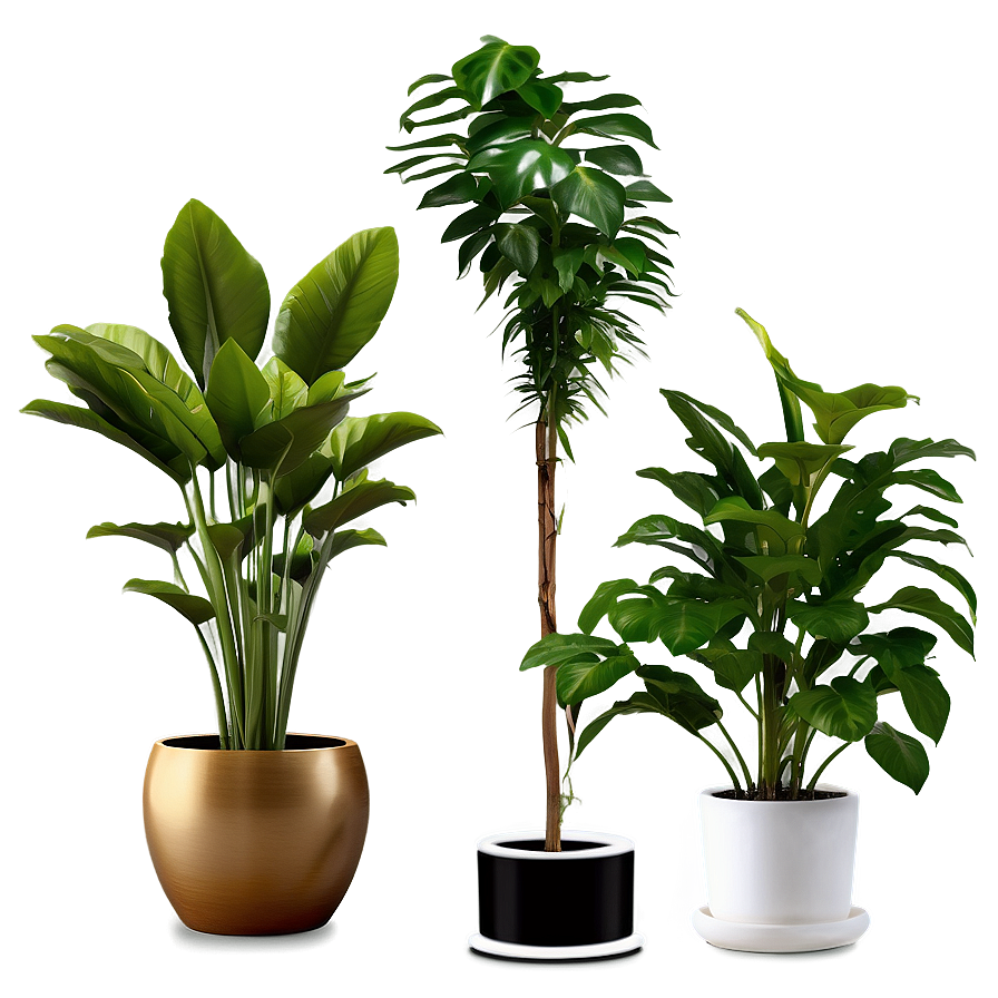 Chic Floor Plant Png Otq