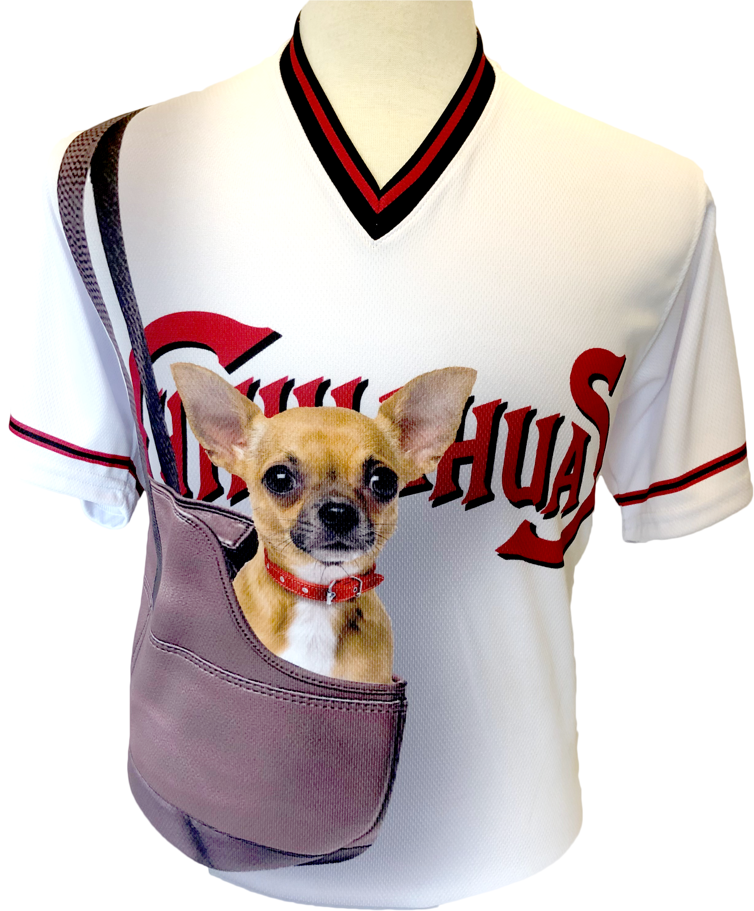 Chihuahuain Sports Jerseyand Sling Bag