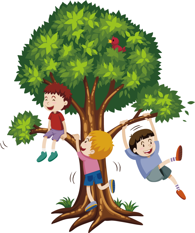 Children Tree Climbing Adventure