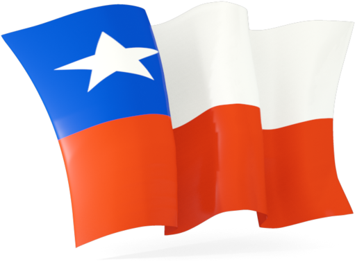 Chilean Flag Waving