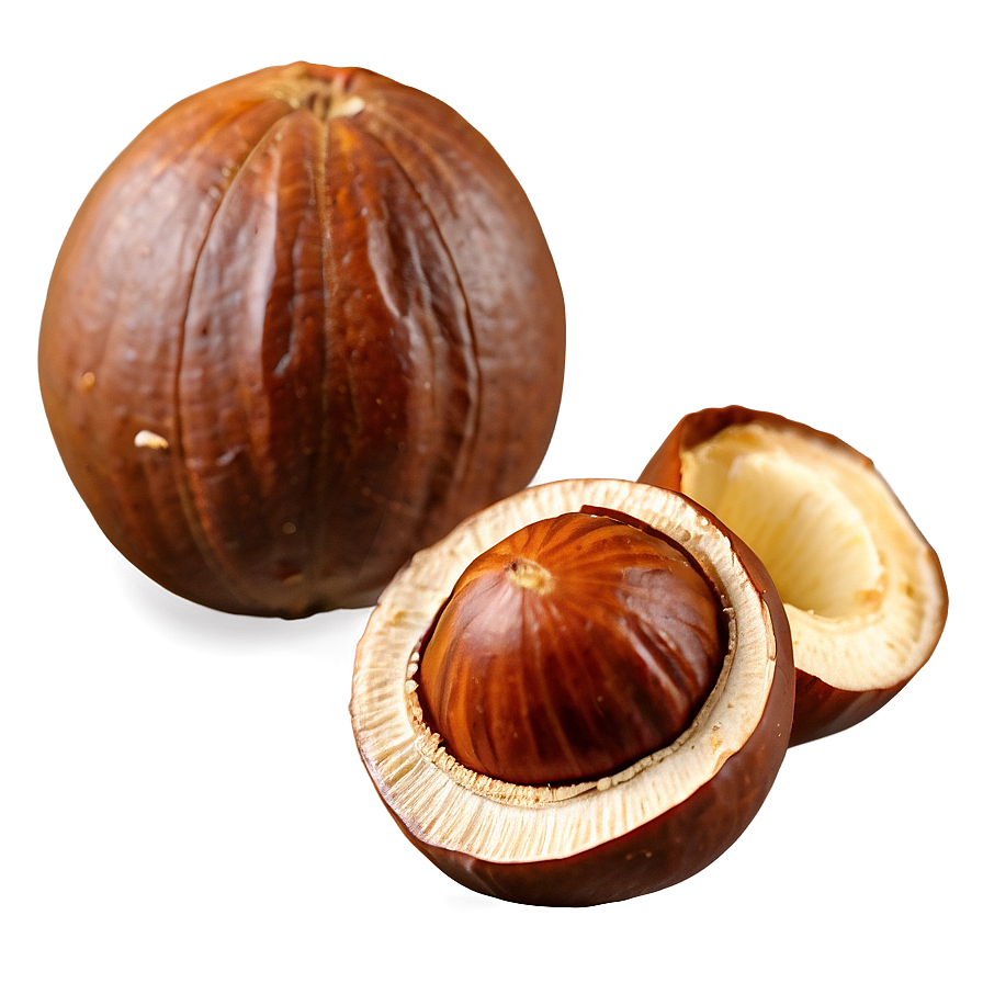 Chilean Hazelnut Png 06122024