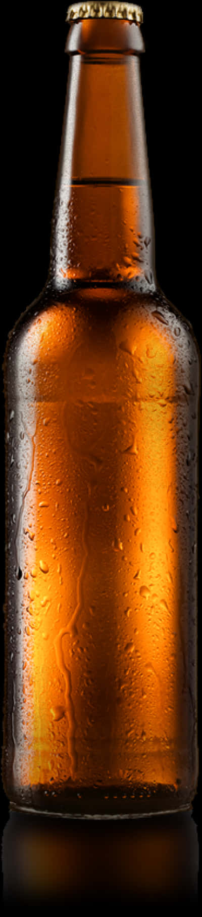 Chilled Beer Bottle Against Black Background