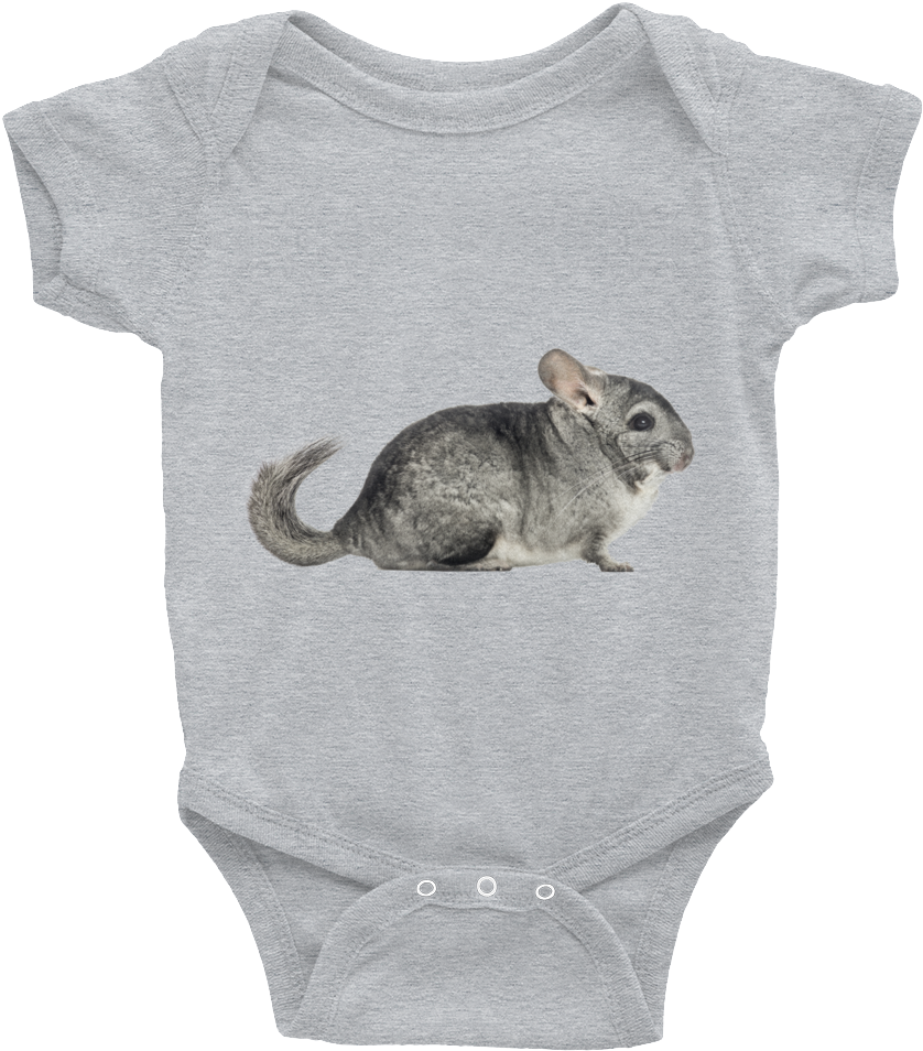 Chinchilla On Baby Onesie