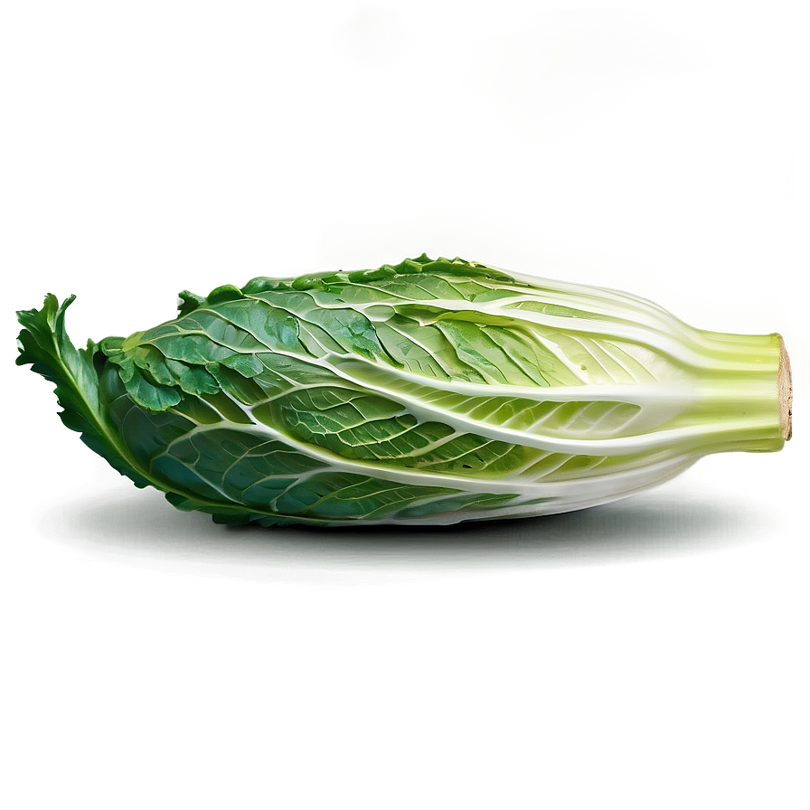 Chinese Cabbage Png Bbu