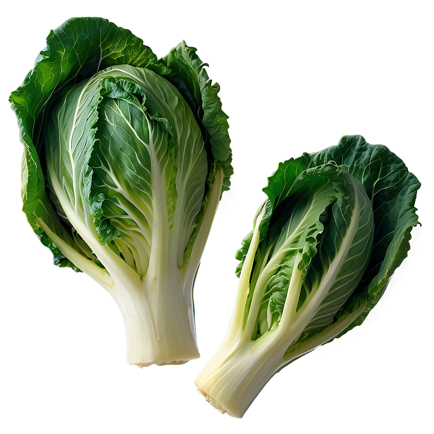 Chinese Cabbage Png Dcd