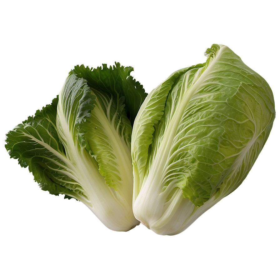 Chinese Cabbage Png Mou55