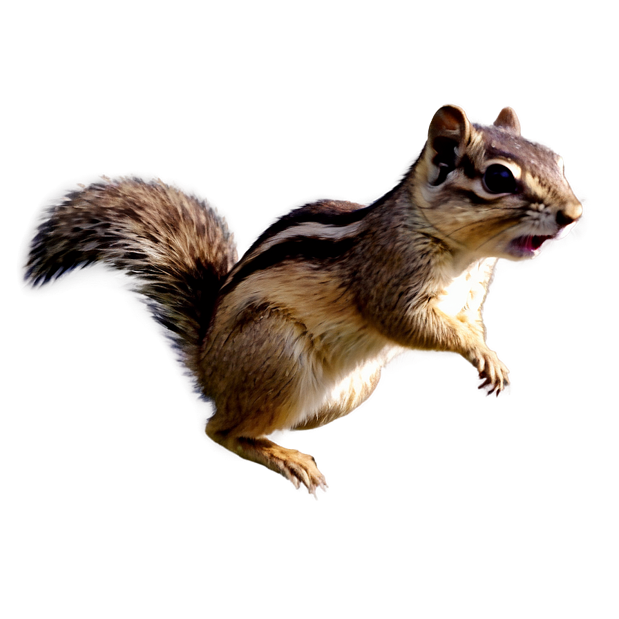 Chipmunk Running Png Gpc