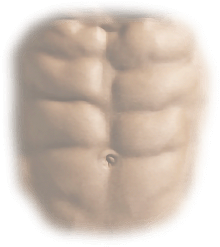 Chiseled Abs Close Up