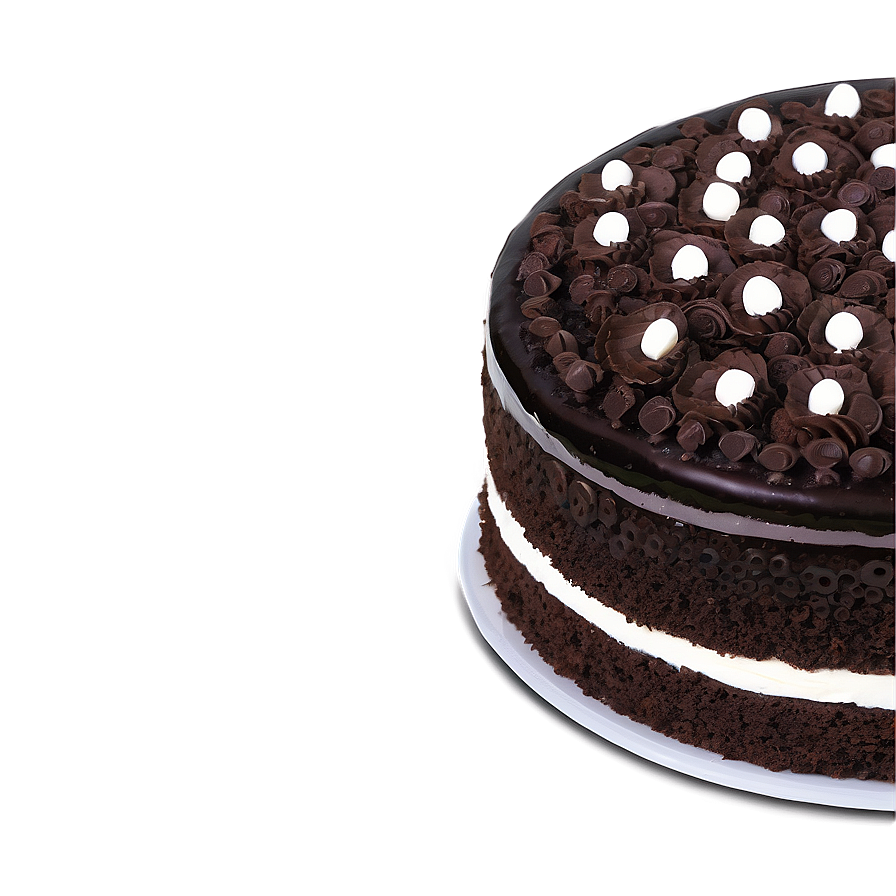 Choco Chip Cake Extravaganza Png 17