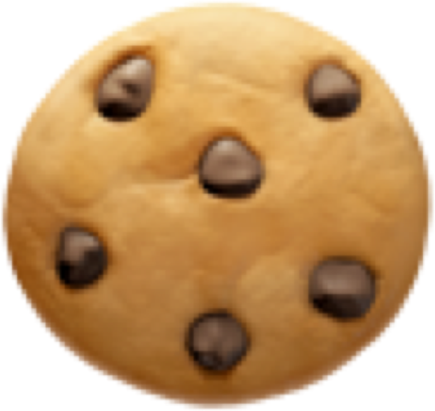 Chocolate Chip Cookie Closeup