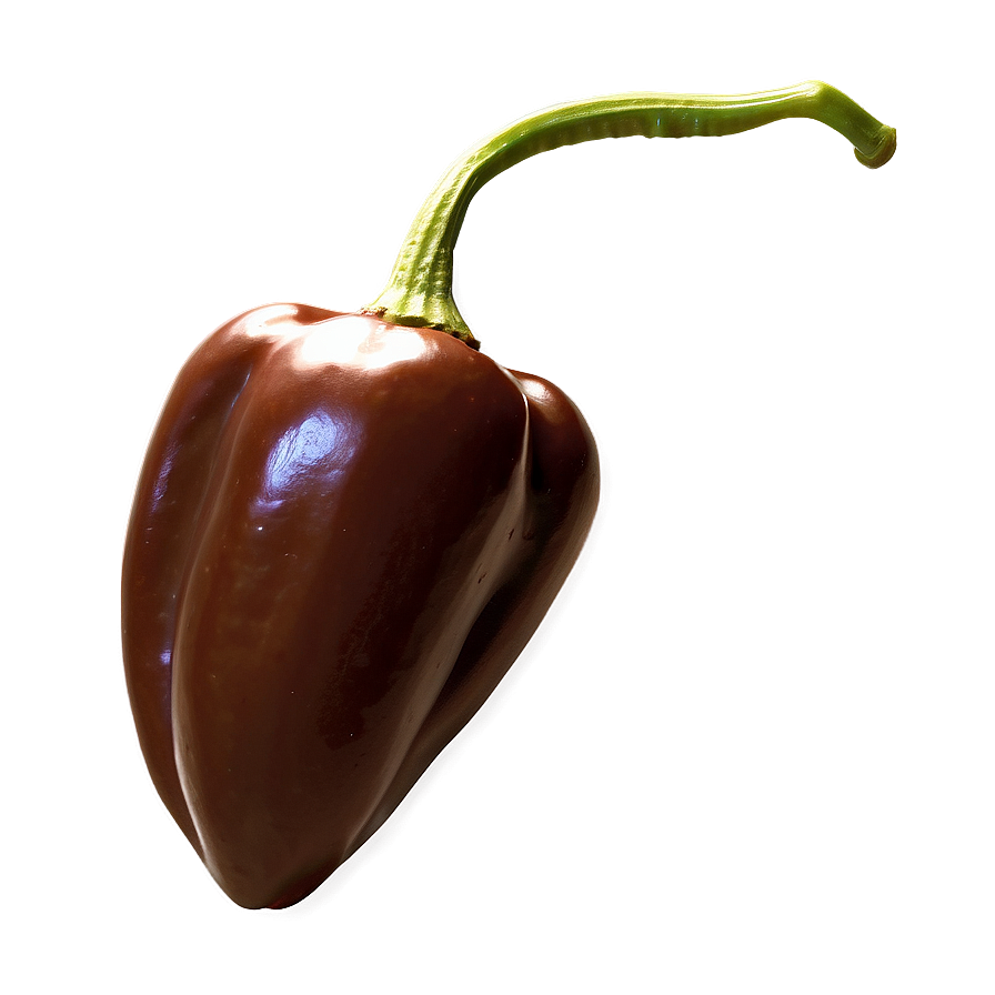 Chocolate Habanero Pepper Png Grf91