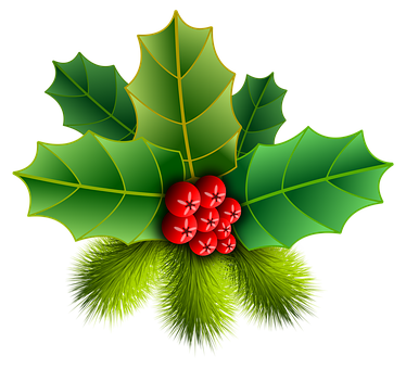 Christmas Holly Berries Illustration