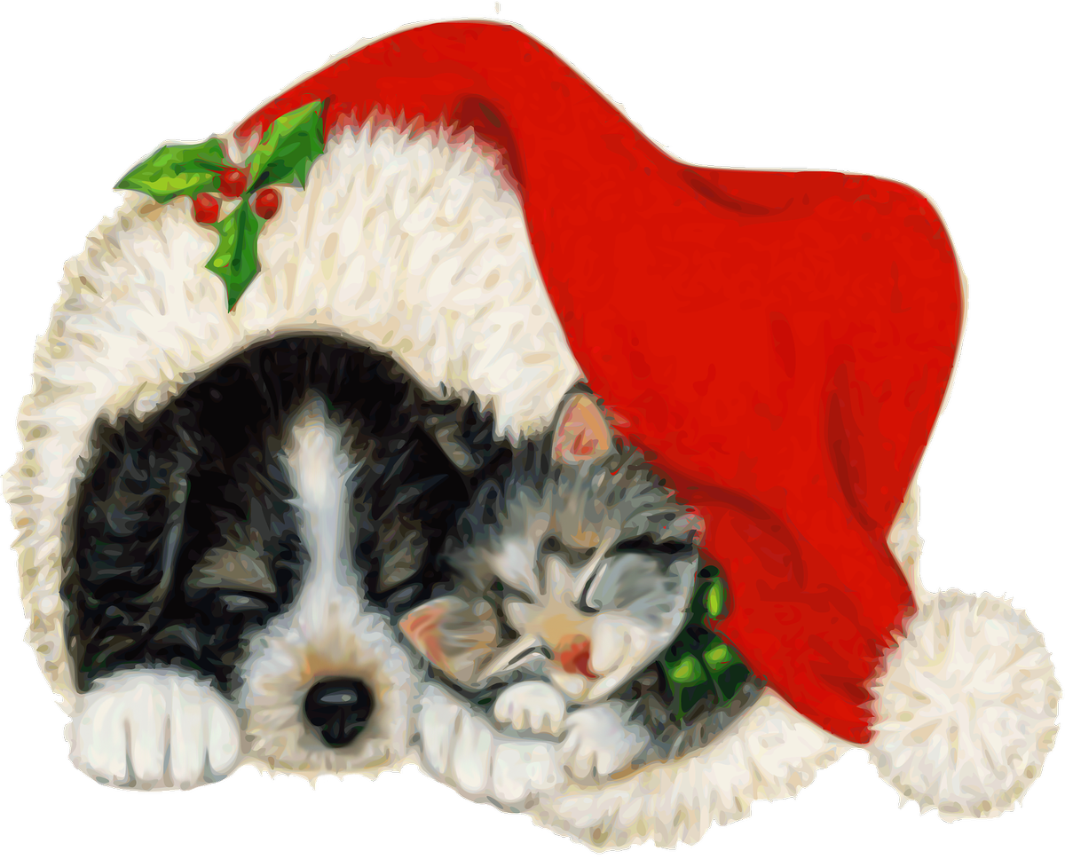 Christmas Kittenand Puppy Napping