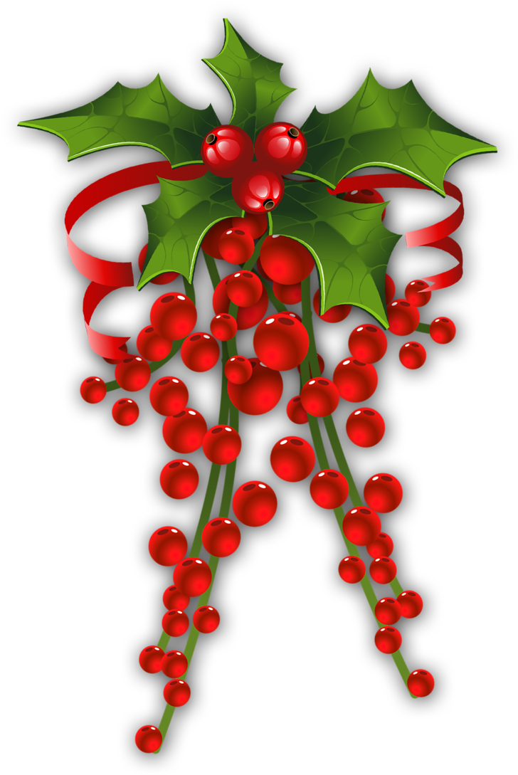 Christmas Mistletoe Illustration.png