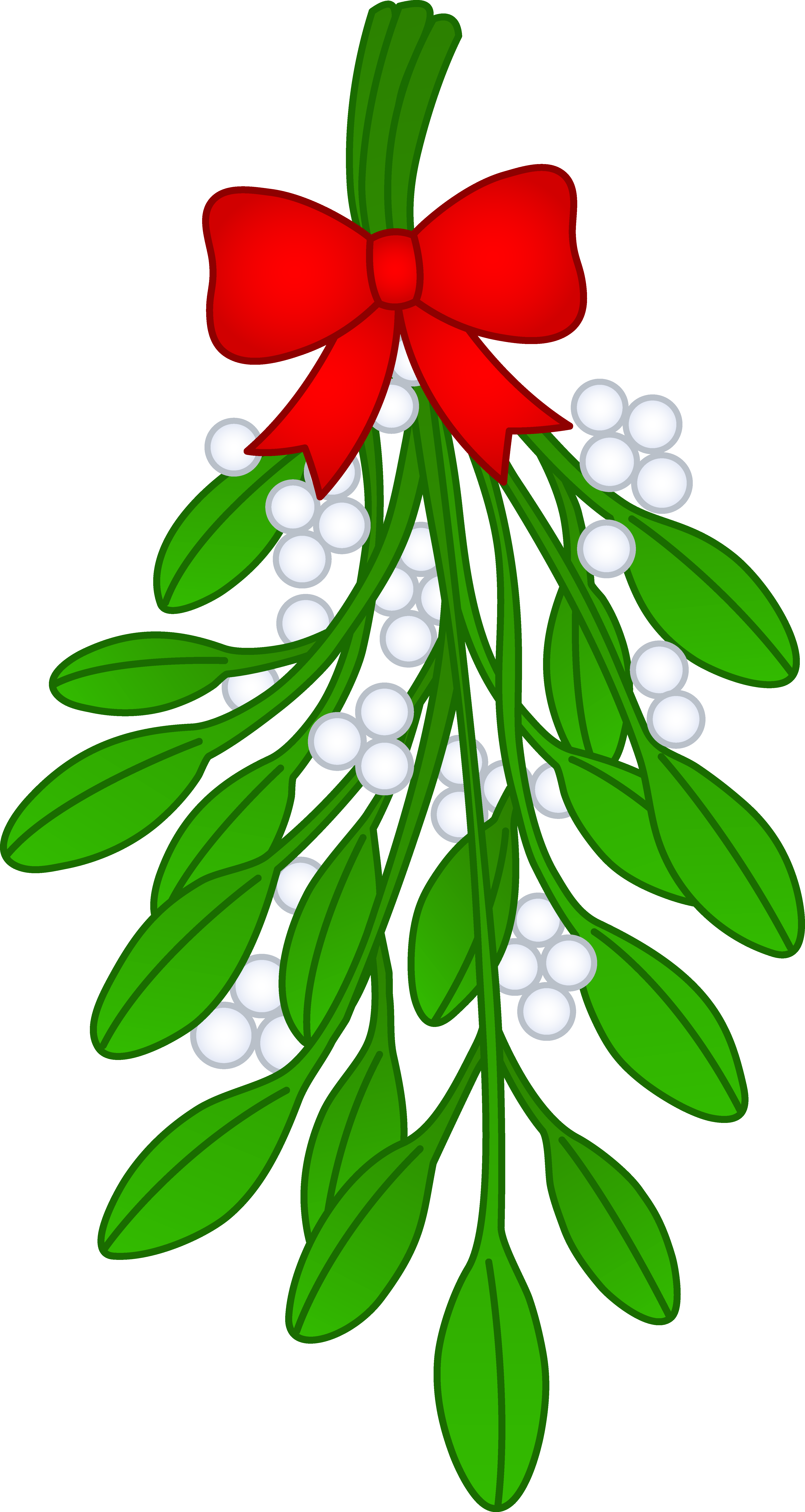 Christmas Mistletoe Illustration.png