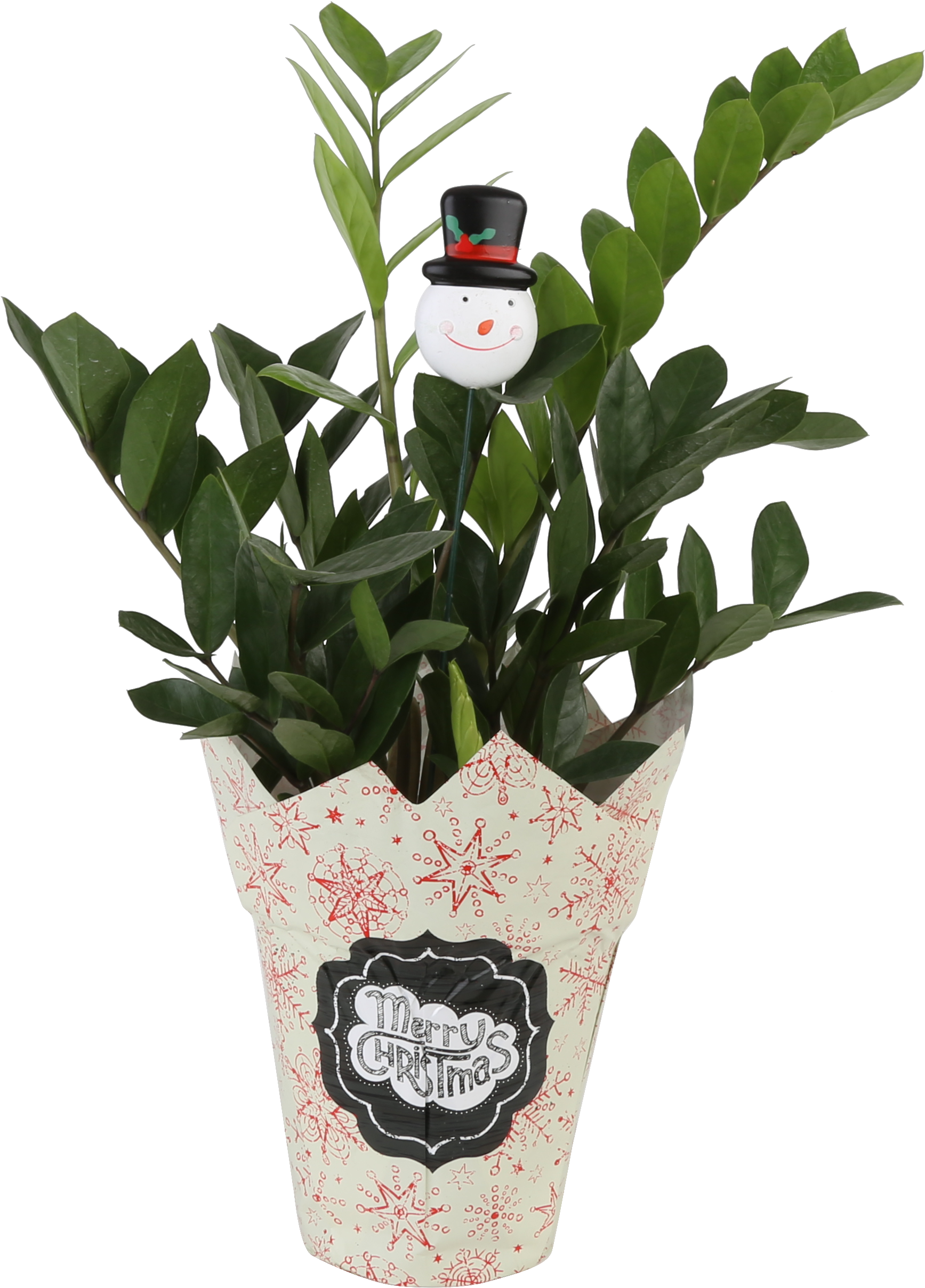 Christmas Plant Potwith Snowman Decoration