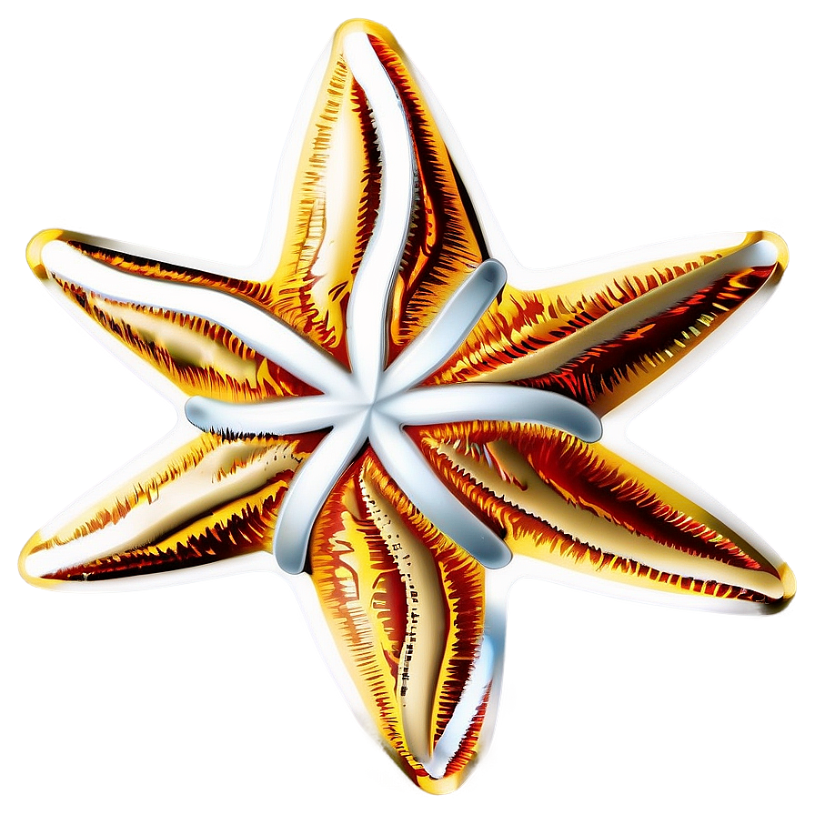 Christmas Star Design Png 40