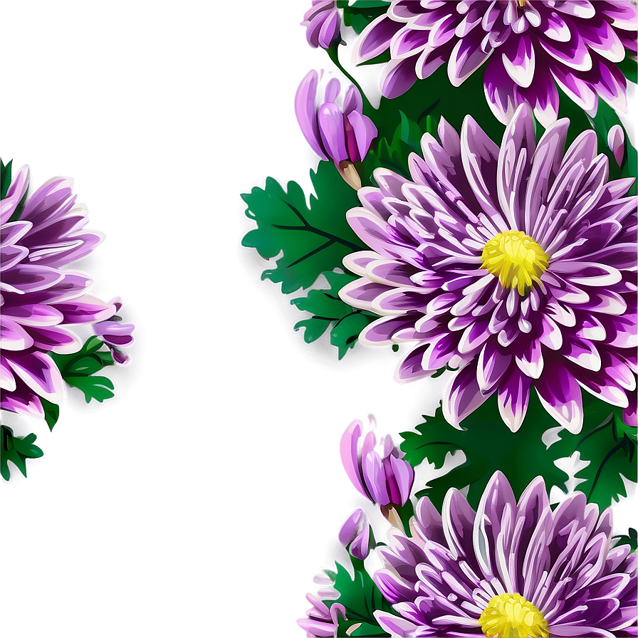 Chrysanthemum Floral Wallpaper Png Dwp32