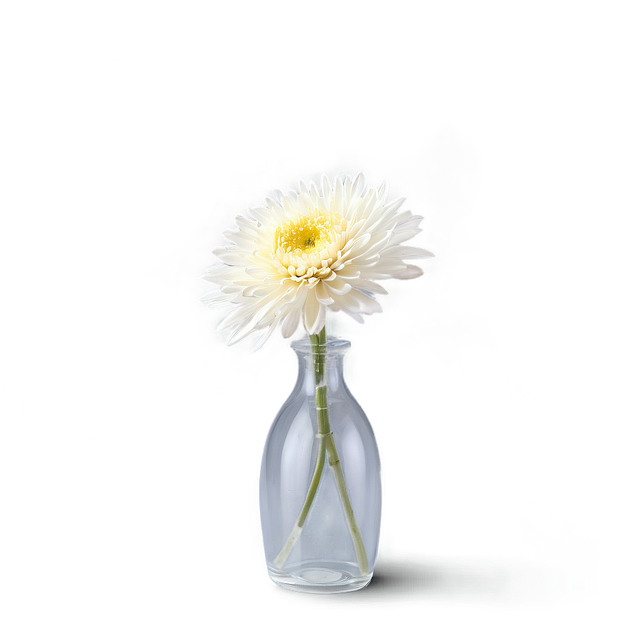 Chrysanthemum In Vase Png 1