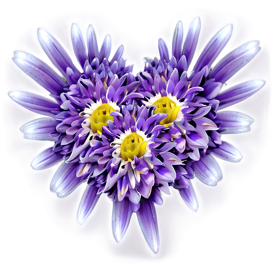 Chrysanthemum Petal Pattern Png Ihv