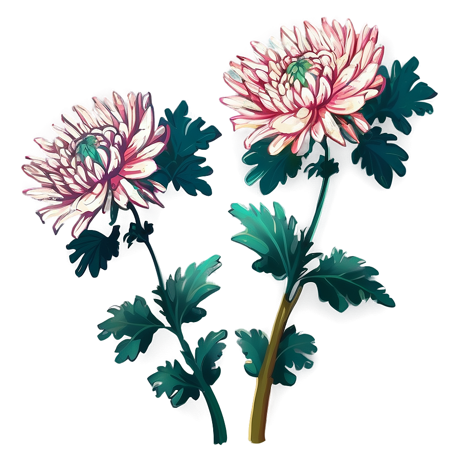 Chrysanthemum Traditional Art Png Byb