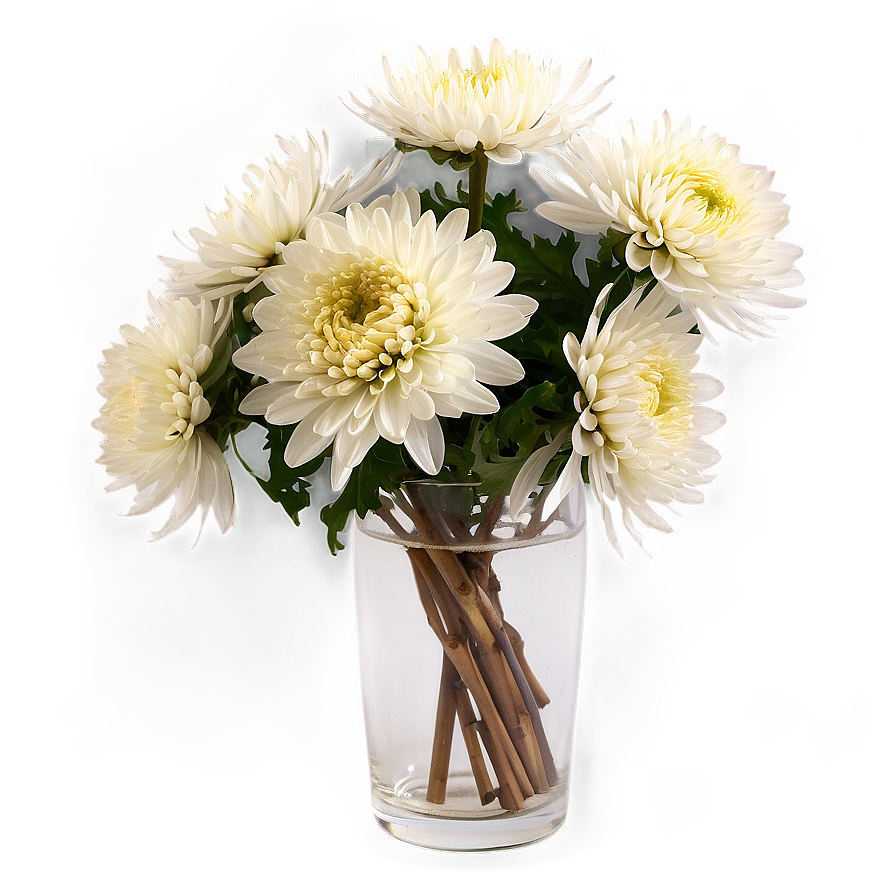 Chrysanthemums In Vase Png Pns80