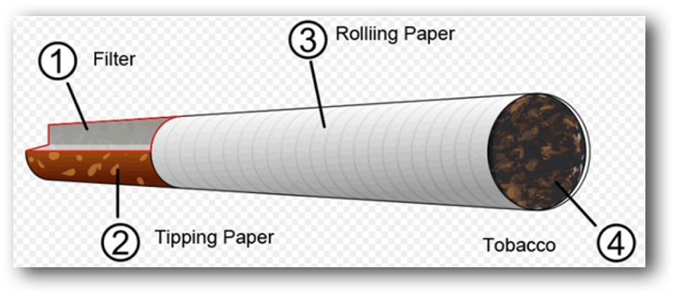 Cigarette Components Diagram