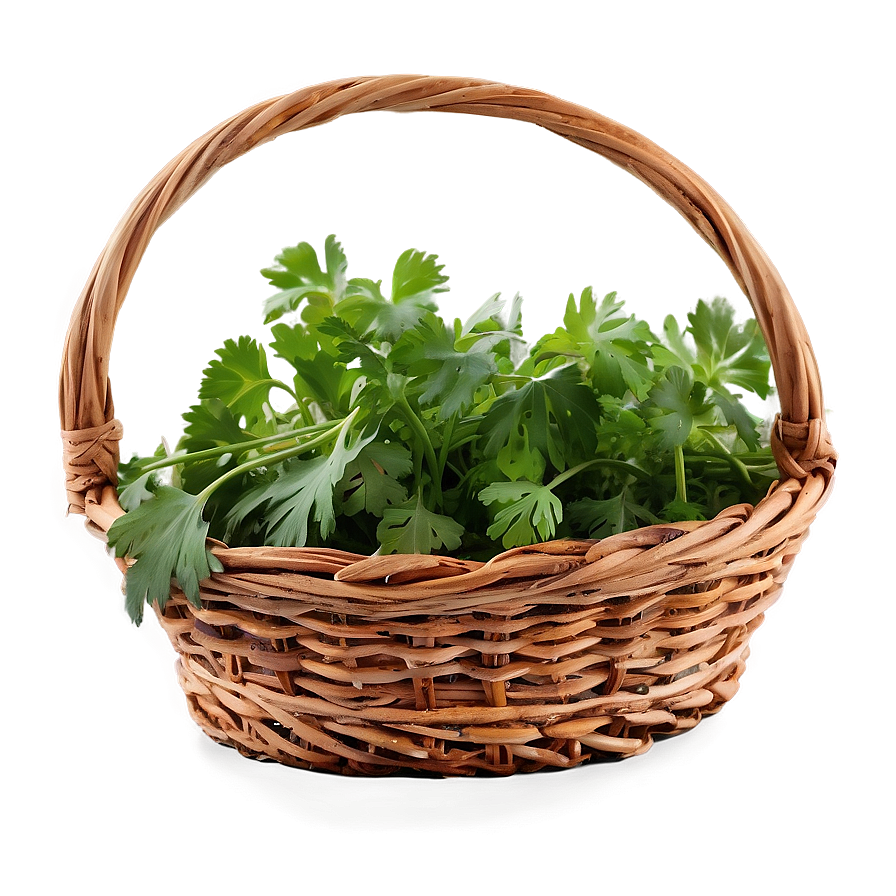 Cilantro In Basket Png Kqn72