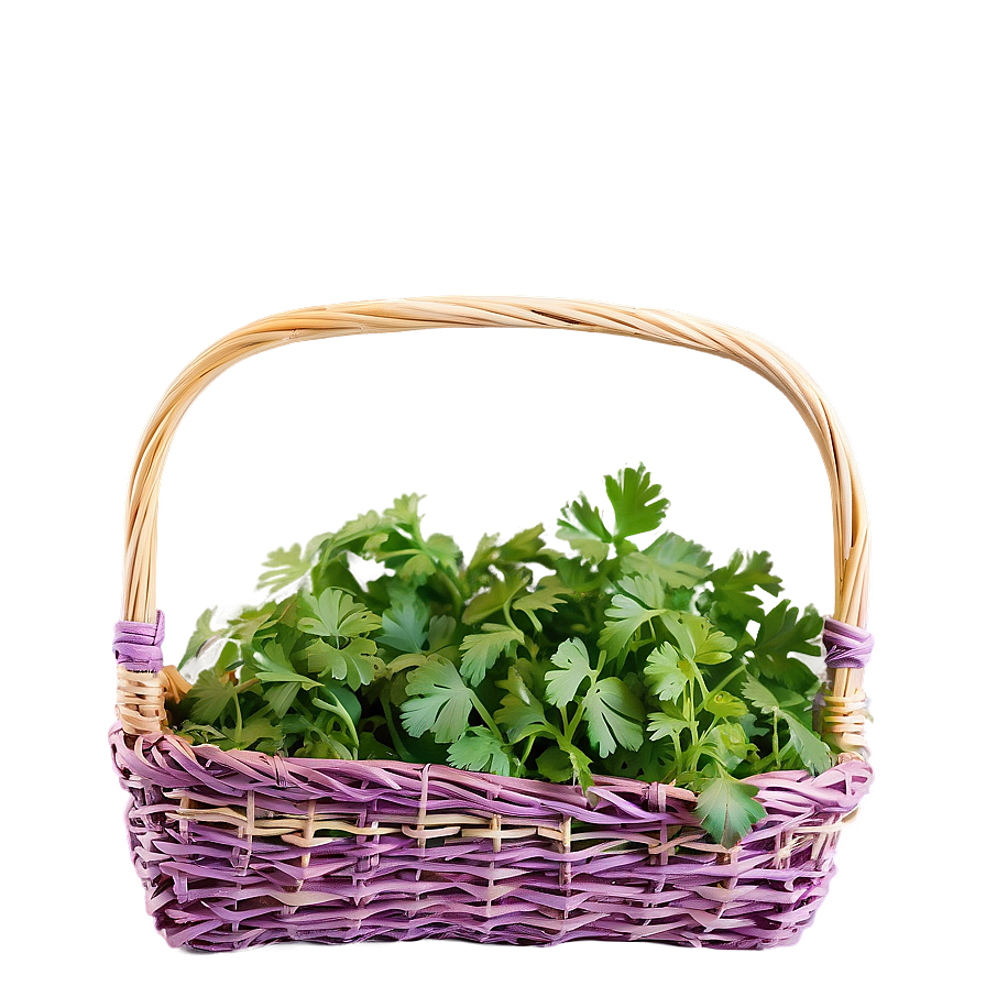 Cilantro In Basket Png Lpa