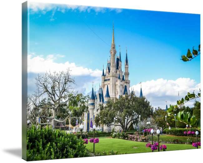 Cinderella Castle Disney Park View