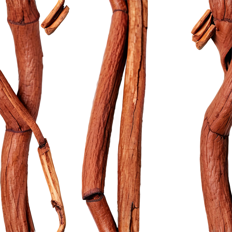 Cinnamon Branch Png Lpk