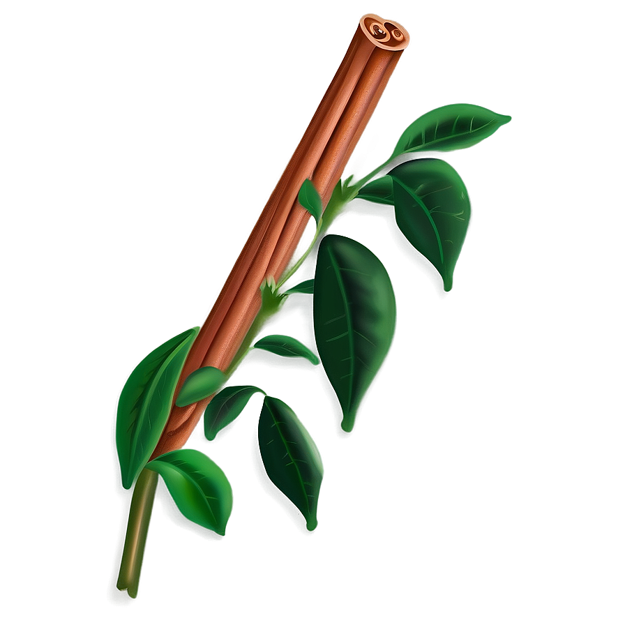 Cinnamon Plant Png Uhw87