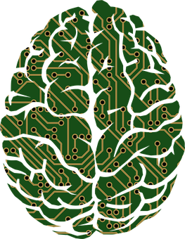 Circuit Board Brain Illustration