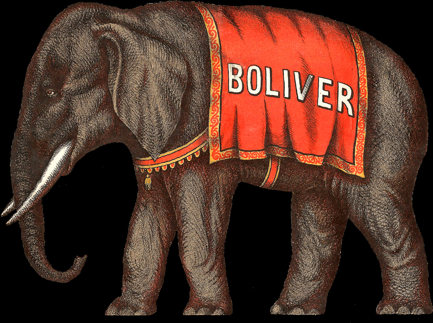 Circus Elephant Boliver Illustration