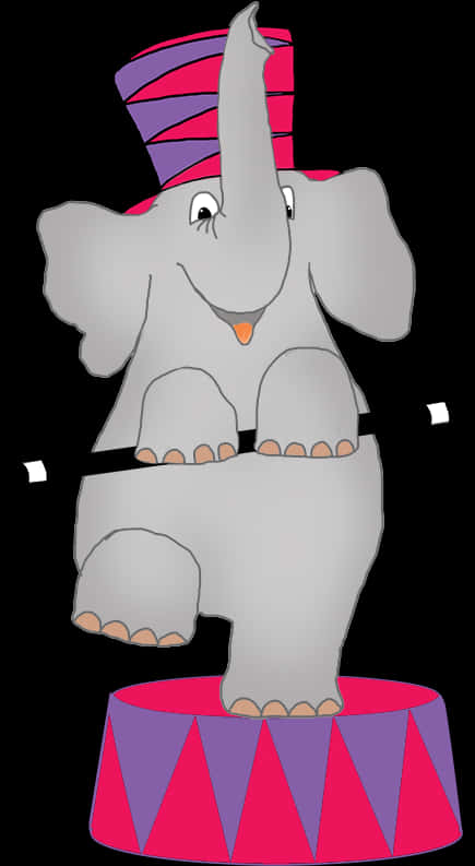 Circus Elephant Cartoon Illustration