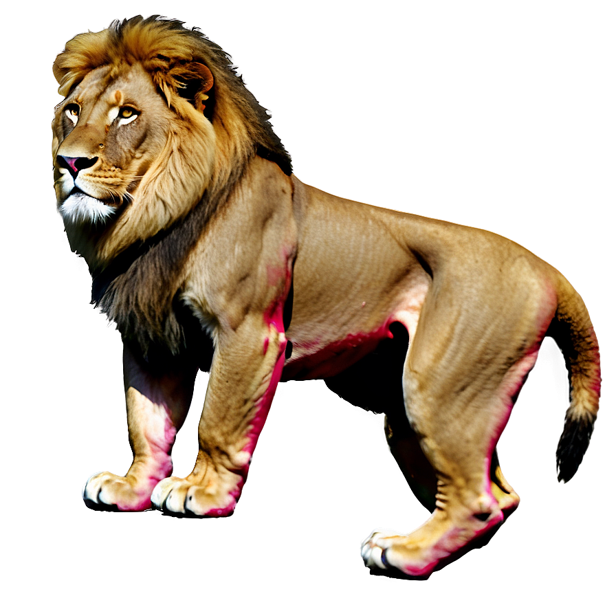 Circus Lion Png Ctf