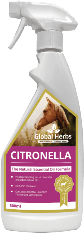 Citronella Spray Bottle Global Herbs