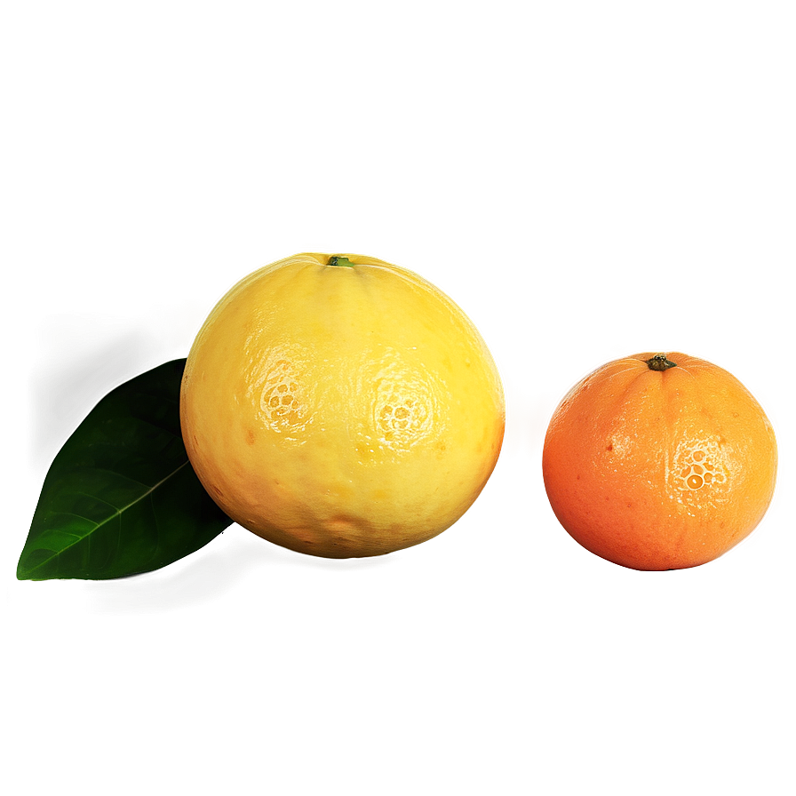 Citrus Fruits Pack Png 91